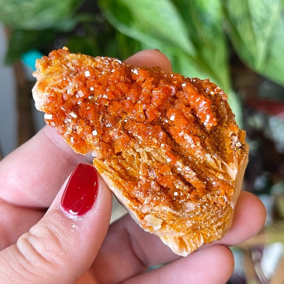 🧡Vanadinite on Barite Crystal Specimen Mibladen Morocco🧡 - Picture 3 of 7